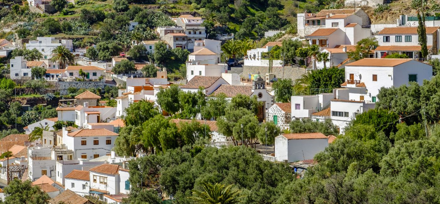 Rolfe East International