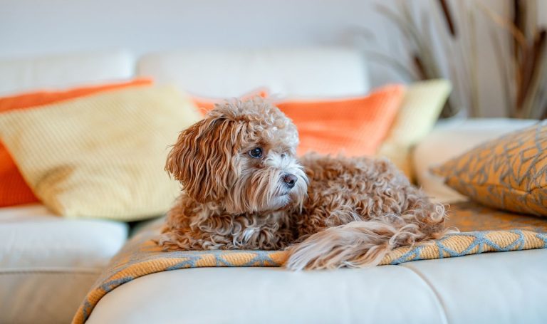 Abolition of Section 21 comes closer with new government