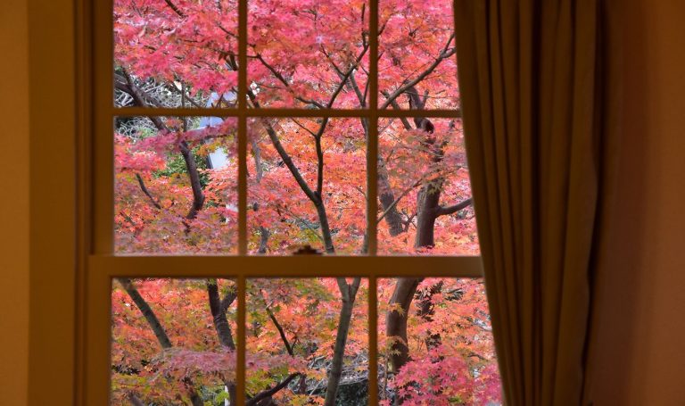 Autumn window of opportunity to move