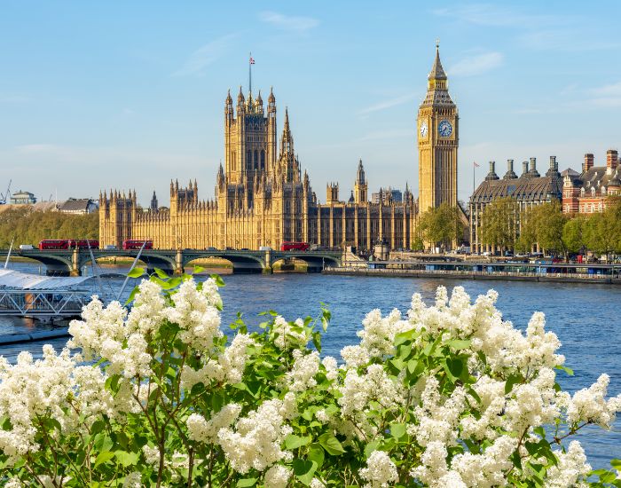 Renters Rights Bill